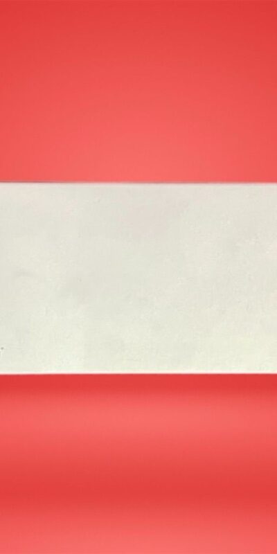 StarTech Dual 4K Monitor Thunderbolt 3 Laptop Dock TB3DOCK2DPPD