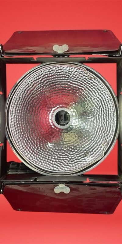 Lowel DP Professional Studio Light with Adjustable Barn Doors No Bulb