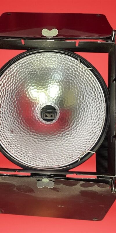 Lowel DP 1000W Halogen Light Unit with Adjustable Barn Doors