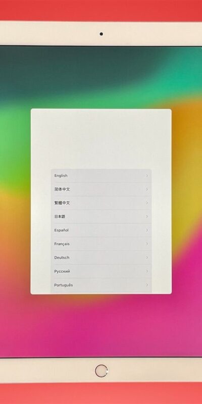 Apple iPad Pro 12.9" 2nd Gen 64GB Storage Wi-Fi Silver Tablet MQDC2LL/A