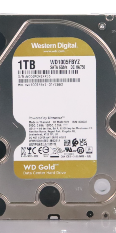 Western Digital Gold WD1005FBYZ 1 TB HDD 7200 RPM 3.5" Hard Drive